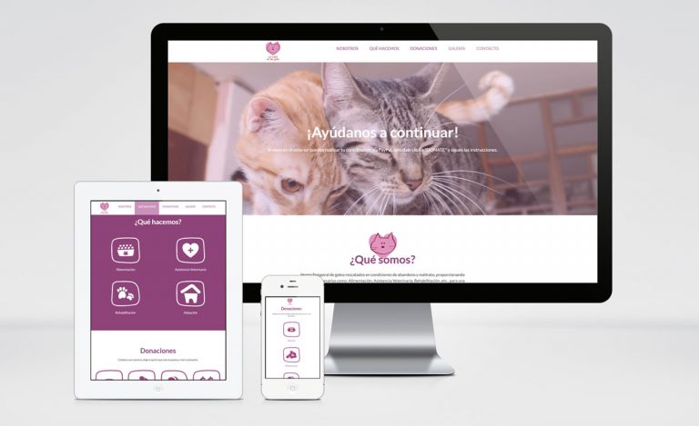 La Casa de los Gatos - One Page